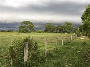 Fenced pasture land with dark clouds in background, Pantanal Wetlands, Mato Grosso, Brazil, South