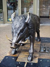 Chester. Cheshire, United Kingdom, 20 March 2024 : Bronze statue of a boar outside chester market