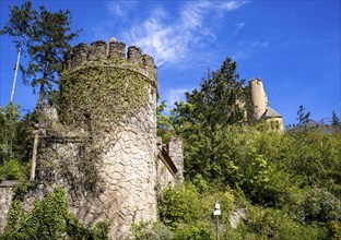 Roseburg Harz near Ballenstedt Rieder