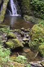 Waterfall in the Canyon Lotenbachklamm in the Black Forest, Baden, Württemberg, Germany. Waterfall