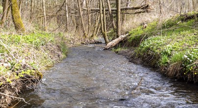 Natural course of the Selke stream in the Harz Mountains