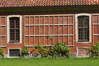 Trellis on a brick wall