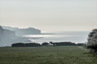 Belle Tout Lighthouse and Seven Sisters chalk cliffs from Seaford Head on April morning