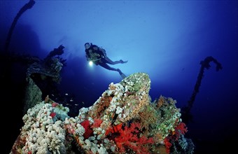 Diver on the Numibia shipwreck, Egypt, Africa, Red Sea, Africa