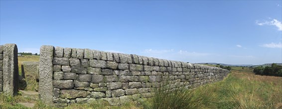 A long perspective view of a stone wall with gate between grass covered summer fields with blue sky