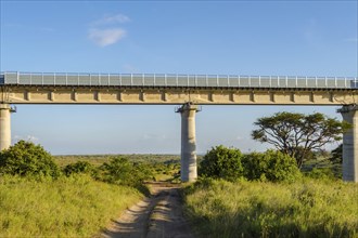 View of the viaduct of the Nairobi railroad to mombassa in the savannah of Nairobi Park in central