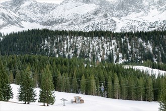 Curved foothills and the rocky Alps mountains covered by snow and green fir trees, a cableway