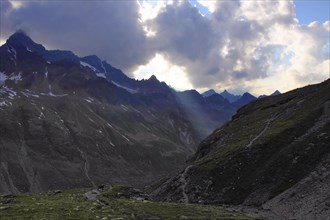 Alpine ibex and cloud rays, Ochsental, Silvretta, Vorarlberg