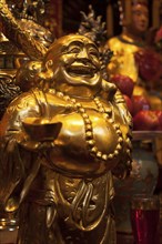 Golden Buddha Statue at the Tu Lien Pagoda in Ha Noi, Vietnam, Asia