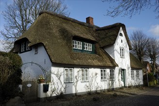 Frisian house in Nieblum, Föhr, Schleswig-Holstein, Germany, Europe