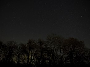 Night sky in Winter with constellations Gemini, Cancer, Lynx and light pollution behind silhouetted