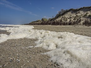 Foamy tide along a calm stretch of coastline with dazzling white sand and overgrown dunes,