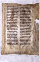 Biblical text in Latin written on vellum, 12th Century, England. Courtesy of the Reed Collection at