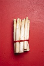 Bunch of white asparagus tied with a string. Above view with a bundle of white german white