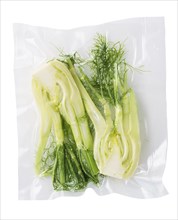 Vacuum sealed fresh fennel for sous vide cooking cutout on white