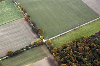Autumnal crossroads, agriculture, trees, autumn, colourful leaves, colour, colours