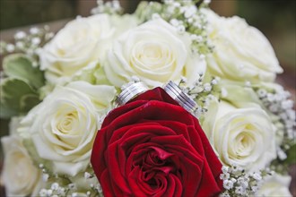 Wedding bouquet roses