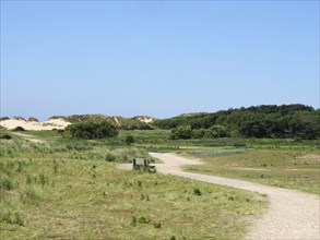 A winding path to sand dunes and grass on the merseyside coast near formby with a bench in the