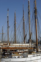 Traditional sailing ship in the museum harbour, Flensburg, Schleswig-Holstein, Germany, Europe