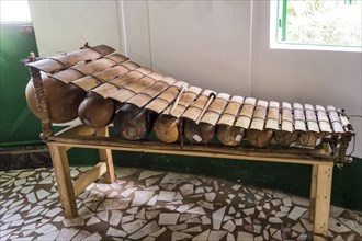 Balafon, ethnic, musical, instrument, movement, frontal view, close up. traditional African marimba