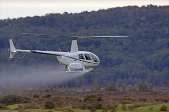 Helicopter spraying fertiliser on a crop in Westland, New Zealand, Oceania