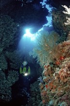 Diver in underwater cave, Egypt, Zabargad, Zabarghad, Red Sea, Africa