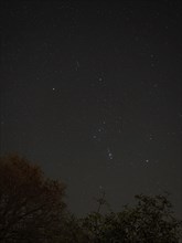 The constellation of Orion in December starry sky over Sussex, England, United Kingdom, Europe