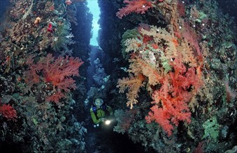 Diver in underwater cave, Egypt, Zabargad, Zabarghad, Red Sea, Africa