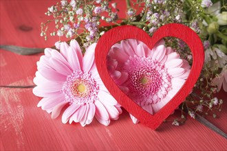 Greeting card idea with pink chrysanthemum and a red decorative heart leaned against them, on a red