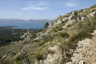 View from the Talaia de Alcudia, Alcudia, Majorca, Spain, Europe