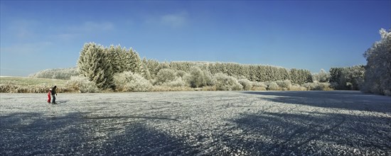 Ice skaters on the Wannenberg pond