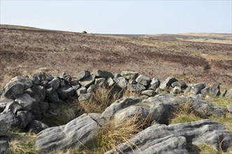 Exposed stones at the top of a cairn known as the millers grave on midgley moor in calderdale west