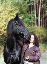 Friesian, friesian, black, stallion, stallion, 6-year-old