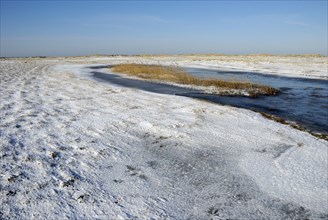 Ice sheet at the elbow, Sylt, Schleswig-Holstein, Germany, Europe