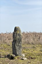 Pennine landscape with large ancient standing stone on midgley moor in west yorkshire