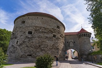 Fat Margaret Tower and Estonian Maritime Museum in Tallinn, Estonia, Europe