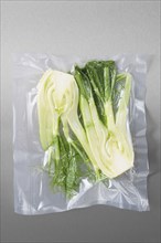 Vacuum sealed fresh fennel for sous vide cooking