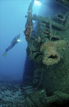 Diver in the Patricia shipwreck, Parapriacanthus ransonneti, Punta Cana, Caribbean Sea, Dominican