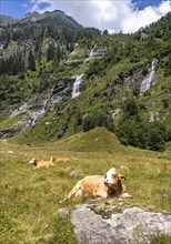 Impressions from Mallnitz Hohe Tauern National Park Seebachtal