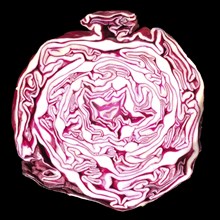 Close up of a sliced red cabbage showing layers on a black background