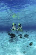 Two woman snorkelling, Bali, Indian Ocean, Indonesia, Asia