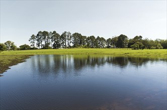 Landscape of the gaucho mountain range, araucarias, mountains and rivers. City of Bom Jesus, São