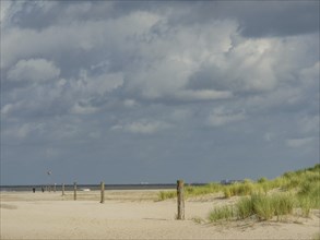 A long beach with high dunes and scattered posts under a cloudy sky, spiekeroog, east frisia, north