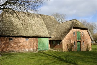 Thatched barn in Nieblum, Föhr, Schleswig-Holstein, Germany, Europe