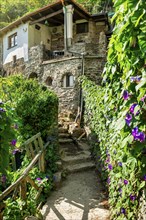 House in mountain village near Vernazza, Italy, Europe