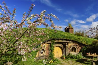 Hobbiton Movie Set of Shire in The Lord of the Rings and The Hobbit trilogies in Matamata, New