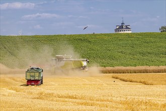 Harvest