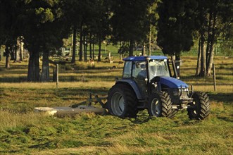 Tractor mowing pasture for silage, West Coast, South Island, New Zealand, Oceania