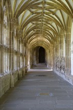 Interior view, Cloister, Cloister, Wells Cathedral, Wells, England, Great Britain