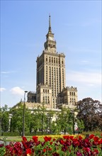 Tulips near Palace of Science and Culture in Warsaw, Poland, Europe